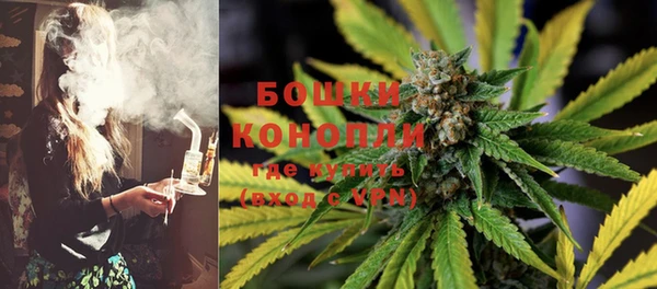 марки lsd Бородино