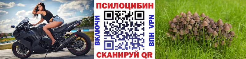 Галлюциногенные грибы Psilocybine cubensis  сайты даркнета телеграм  Дудинка 